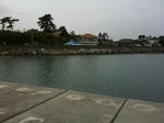 IMG_6807.jpg