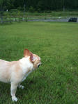 IMG_8830.jpg
