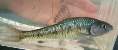 DSCF6675.JPG