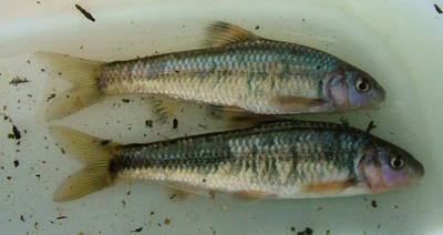 DSCF6841.JPG