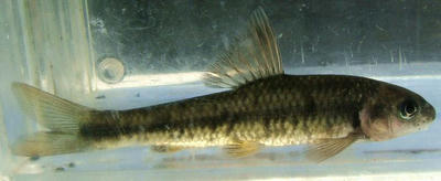 DSCF7805.JPG