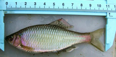 20100301a.jpg