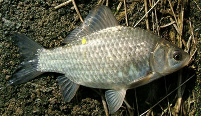 20090323.jpg
