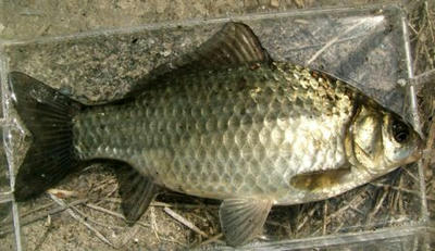 DSCF4292.JPG
