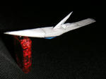 PICT0006.JPG