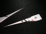PICT0011.JPG