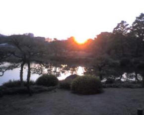 夕日