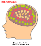 風雅の前世