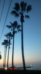 sDCF00119.JPG