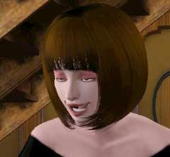 sim11.jpg