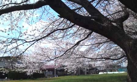 良いｶﾒﾗ＝下手な取り手＝この写真ｗｗ