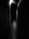 20080114173919.jpg