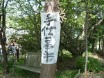DSCF0003.JPG
