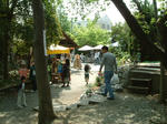 DSCF0002.JPG