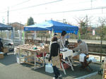 75973e53.jpg