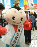 5d27101a.jpg
