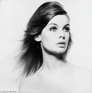 jeanshrimpton.JPG