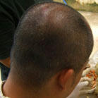 CIMG8089.jpg