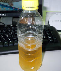 100_2323.JPG