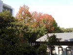 IMG_0794.JPG