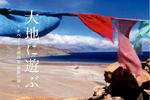 img010.jpg