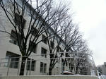 CIMG6816.JPG