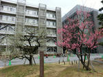 CIMG7966.JPG
