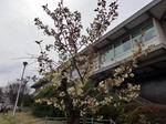 CIMG8878.JPG