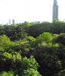 SG384.jpg