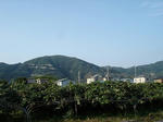 DSC03493.jpg
