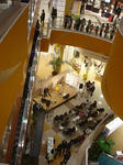 DSC07417.jpg