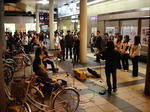 DSC08801.jpg