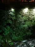 DSC09911.jpg