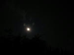 DSC09977.jpg