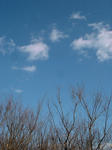 DSC05397.jpg