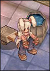 usagi.jpg