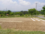 sP6120004.jpg