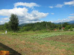 100904-001.jpg