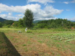 100904-003.jpg