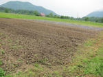 sIMG_3762.jpg