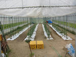sIMG_3767.jpg