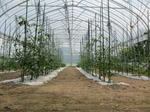 sIMG_3840.jpg