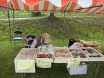IMG_4397.jpg