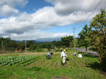 IMG_4717.jpg