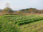 sIMG_4790.jpg
