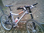 TS380474.JPG