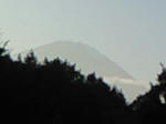 200810191625000.jpg