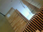 200810262342001.jpg