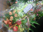 200811012248000.jpg