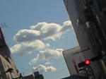 200811201345000.jpg